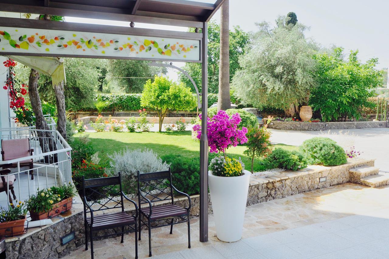 Paloma Blanca Hotel